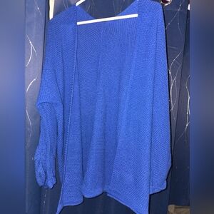 Blue Cardigan